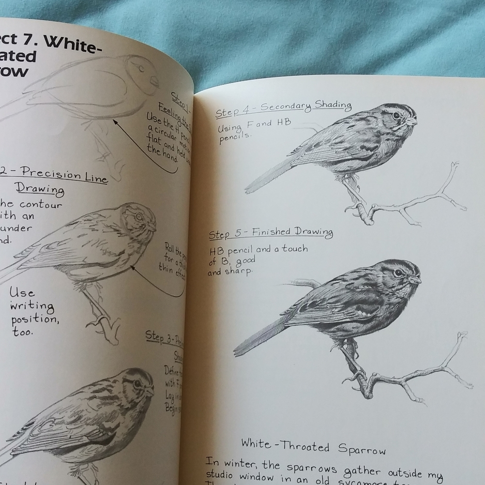 The Drawing Lesson Book - Picture 10 of 10